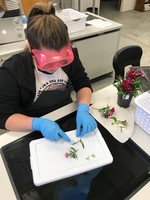 CTE Month - Biotech